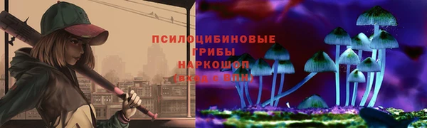 spice Нея