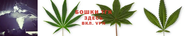 ГАЛЛЮЦИНОГЕННЫЕ ГРИБЫ Нефтегорск