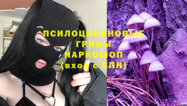 ГАЛЛЮЦИНОГЕННЫЕ ГРИБЫ Нефтегорск