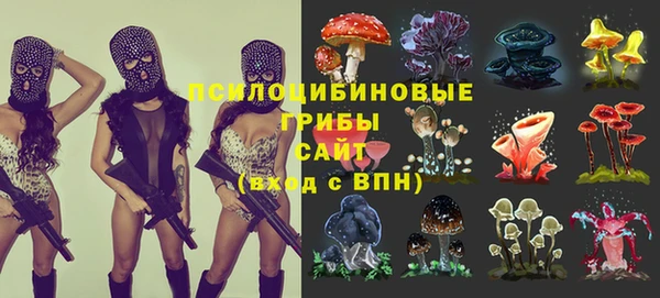 ГАЛЛЮЦИНОГЕННЫЕ ГРИБЫ Нефтегорск