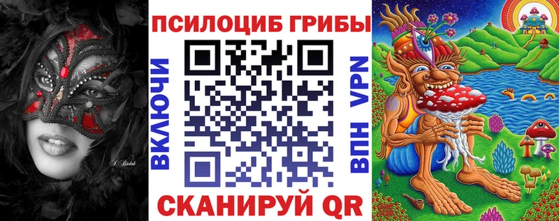 закладки  Онега  Галлюциногенные грибы прущие грибы 
